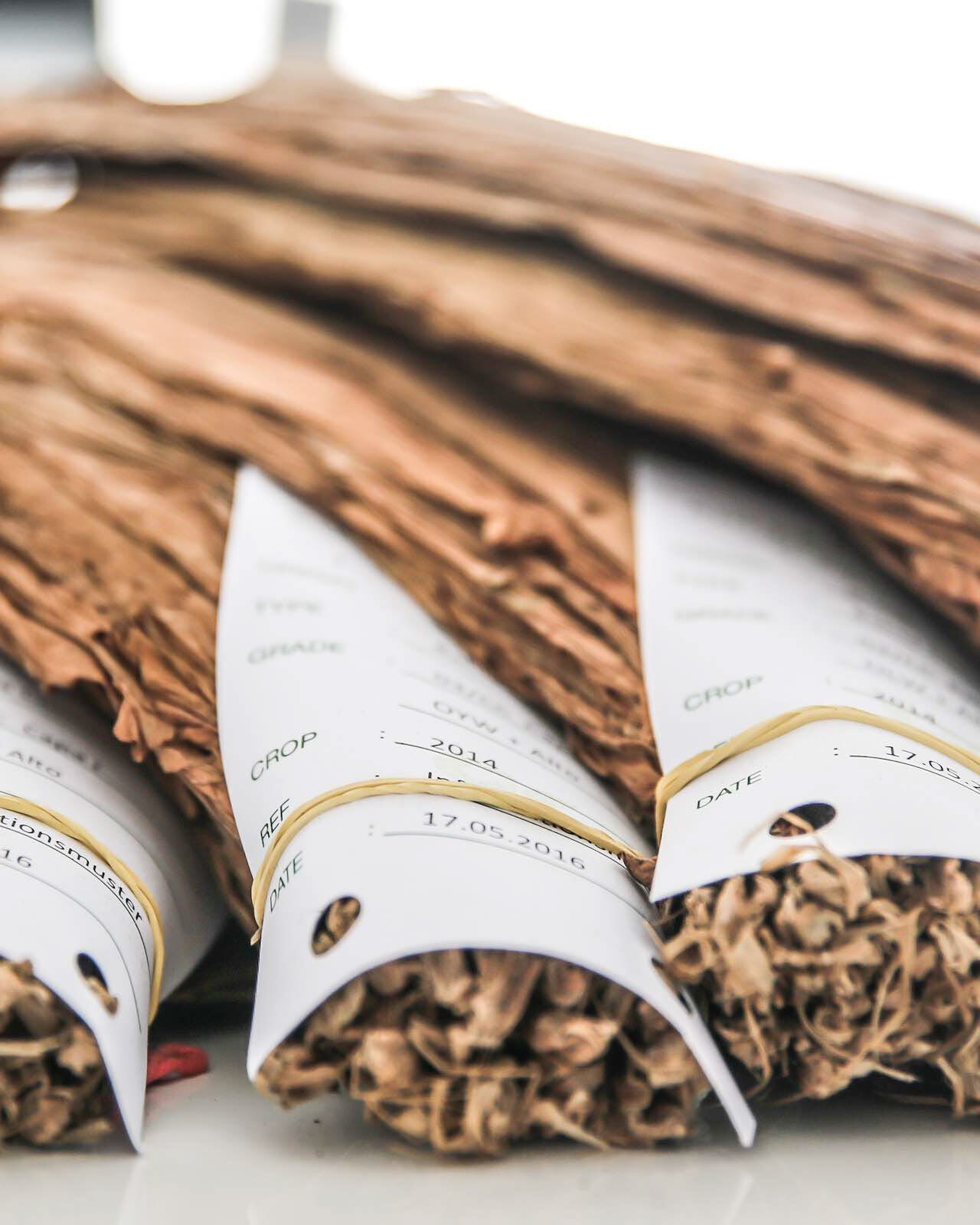 Zigarrenroller - Tabak | Zigarren | Kuba | Brasilien | Dominikanische Republik | Sizilien